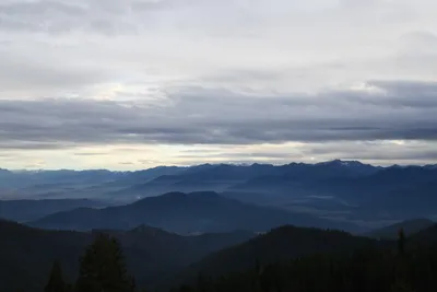 DSC_0077 (Large).JPG